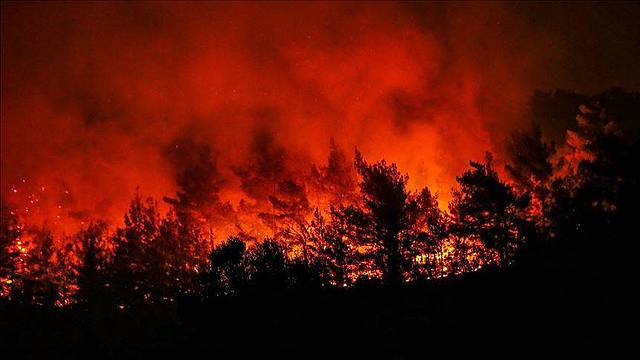 Amazona's rainforest wildfire broke out