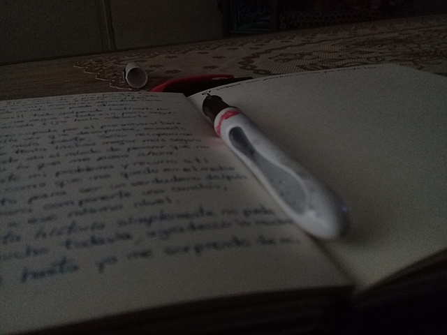 Decidí escribir un libro