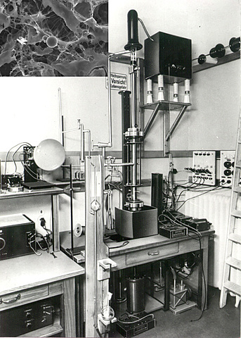 Microscope électronique à balayage (MEB)