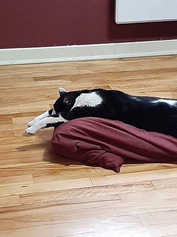 Nous sommes en plein pandémie, et Mawi aussi est en confinement.