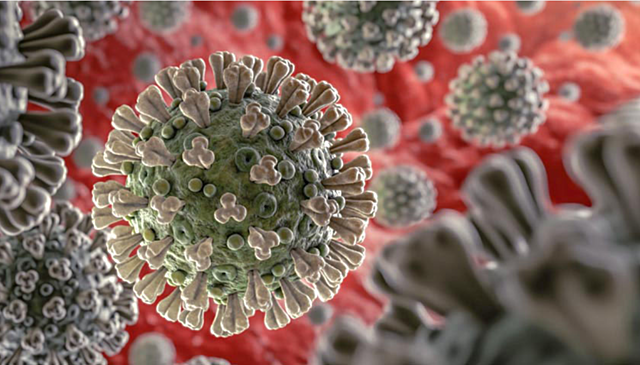First confirmed COVID-19 case in the U.S