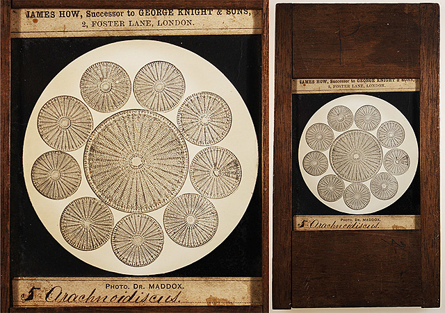 Llegada del obturador