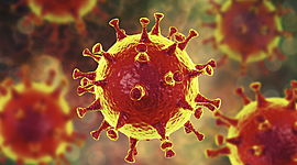 Timeline: Coronavírus no Brasil e Mundo