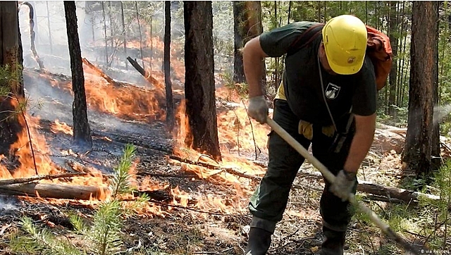 Olas de calor y Derrames de petróleo