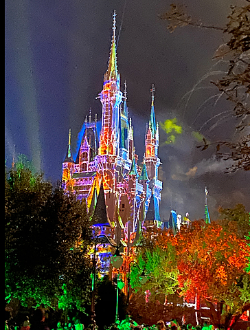 Mon voyage a World Disney