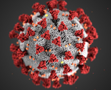 Pandemia de COVID-19