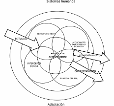 Modelo de adaptación de Roy
