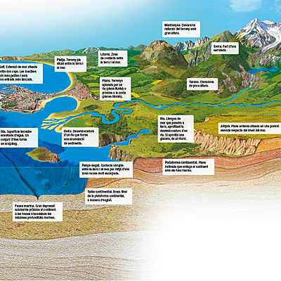 Timeline: eix josep 1d