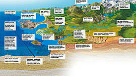 Timeline: eix josep 1d