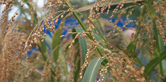 The Beginning of a New Era