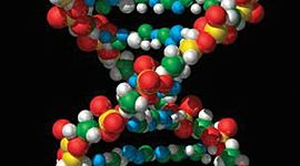 Timeline: DNA structure discovery
