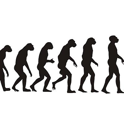 Timeline: Teorías evolutivas