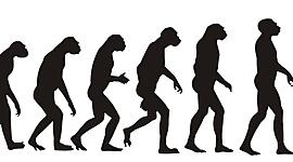Timeline: Teorías evolutivas