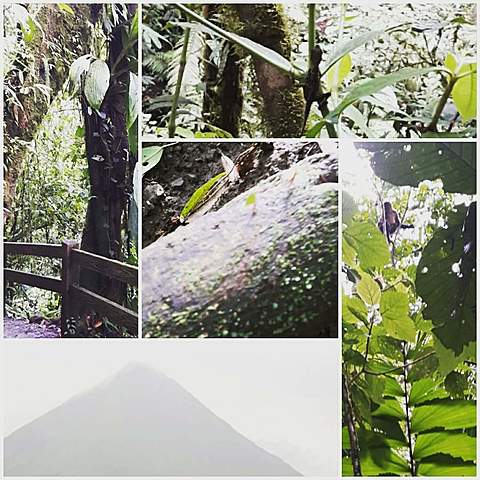 voyage au Costa Rica