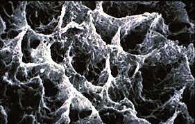 Union del ion calcio de la hidroxiapatita con el dimetacrilato de ácido glicerofosfórico