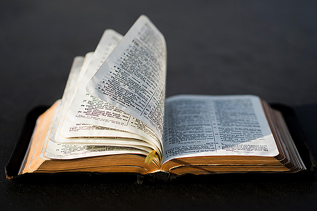 TRANSLATION OF THE BIBLE