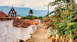 Timeline: Historia y Cultura (Jorge Andrade)