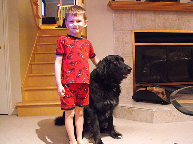 Adoption de mon autre chien