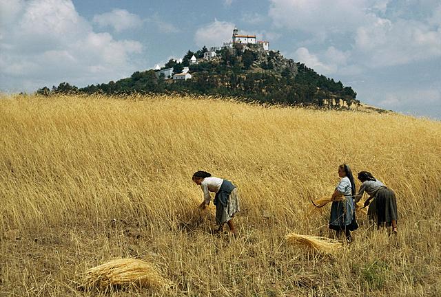 The first agricultural revolution began