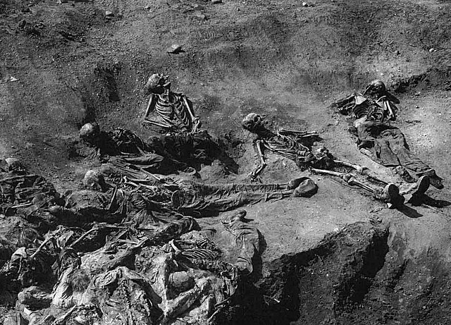 Η ΓΕΝΝΗΣΗ ΤΗΣ ΒΟΣΝΙΑΣ κ ΕΡΖΕΓΟΒΙΝΗΣ