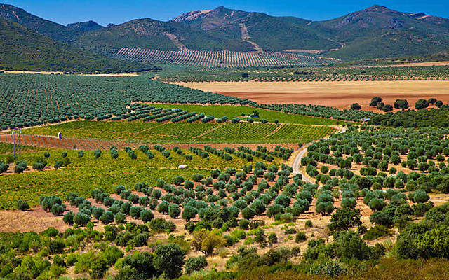 Farming was spread into many more areas