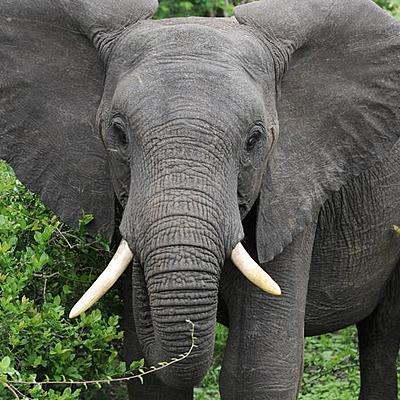 Timeline: Antecedentes historicos