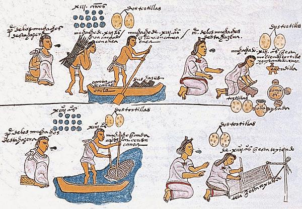 Educación México Prehispánico