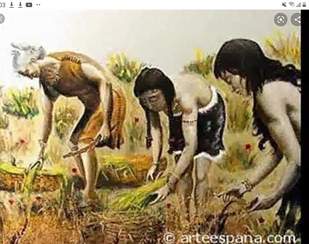 Protoneolitico ( 8000A.C-6500A.C )