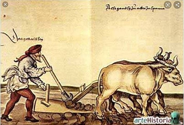 Presura ( siglo VIII - X )