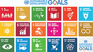 Sustainable Development Goals Designed