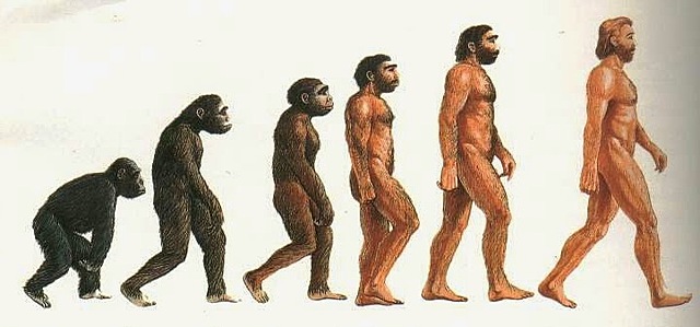 processo di ominazione(60 milioni di anni fa)