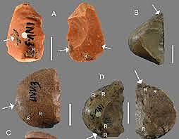 L'uomo di Neanderthal