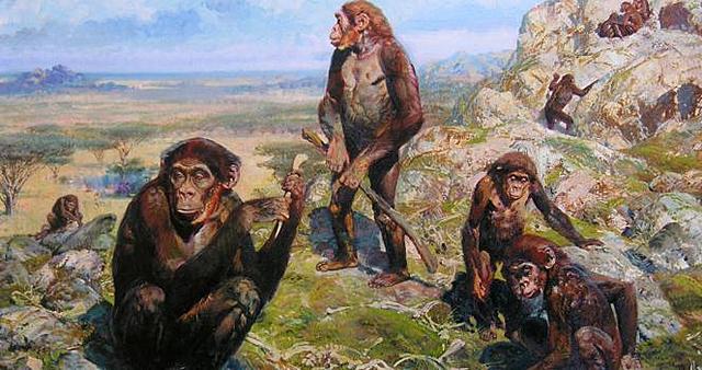 PRIMATI (7-6 mln di anni fa)