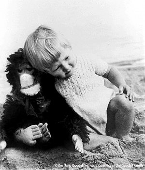 Primer contacto con el mundo animal