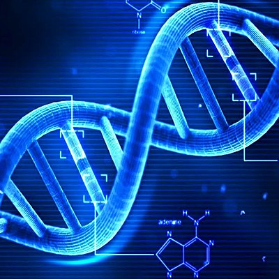 Timeline: Storia del DNA