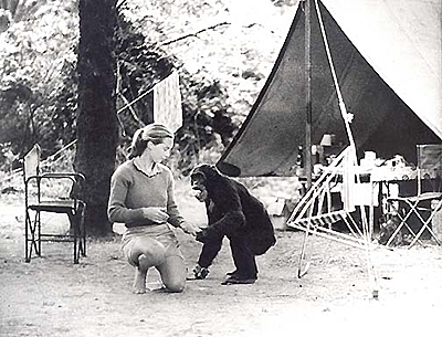 Descubrimientos científicos