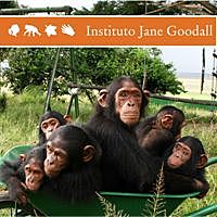 Segundo centro científico