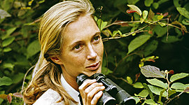 Timeline: Línea del tiempo de Jane Goodall.