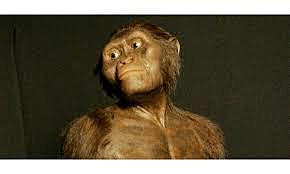 Australopiteco (Lucy)