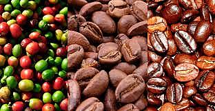 La luz al final del tunel.