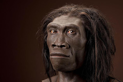 Homo Erectus (1,5milioni di anni fa)