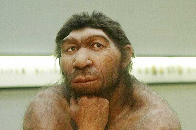 Homo di Neanderthal (300000 di anni fa)