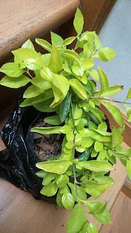 22 de noviembre del 2020