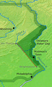 The Walking Purchase