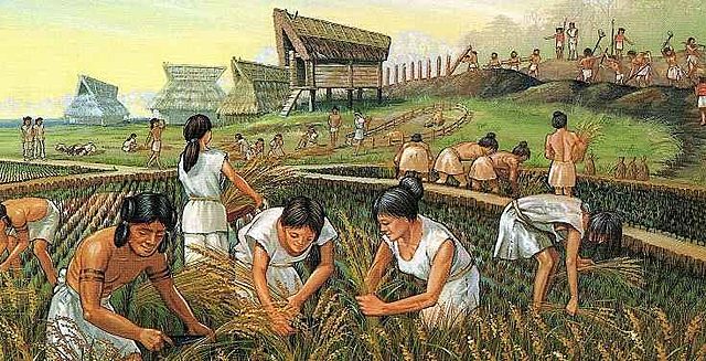 RIVOLUZIO AGRICOLA (intorno all'8000 a.C.)