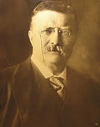Theodore Roosevelt election for presidency