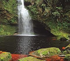 Código Nacional de Recursos Naturales Renovables y de Protección al Medio Ambiente (Decreto 2811 de 1974)