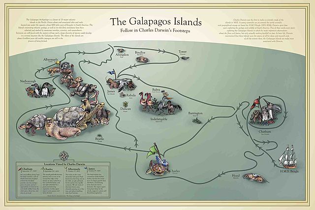 Galapagos Islands