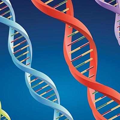 Timeline: Historia del descubrimiento del ADN