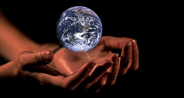 Propuestas para garantizar la sustentabilidad de proteínas